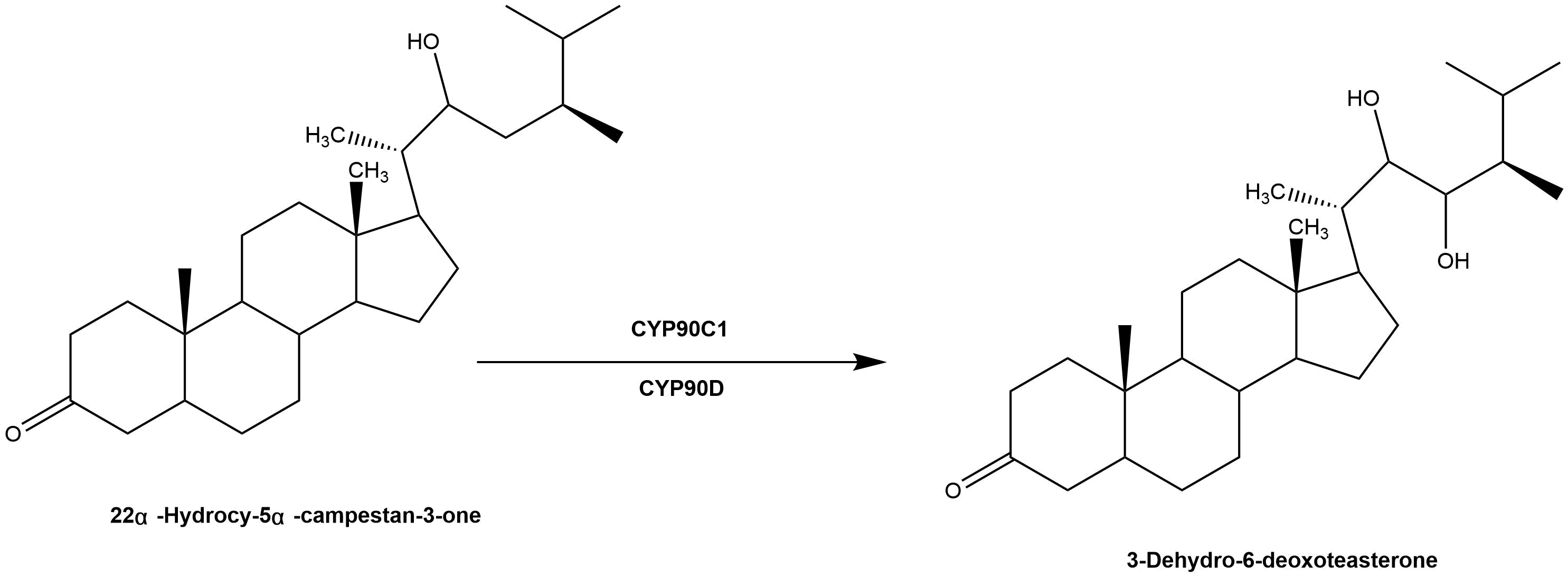 reaction